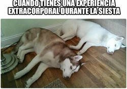 Enlace a Algunos creen caerse, yo me salgo del todo