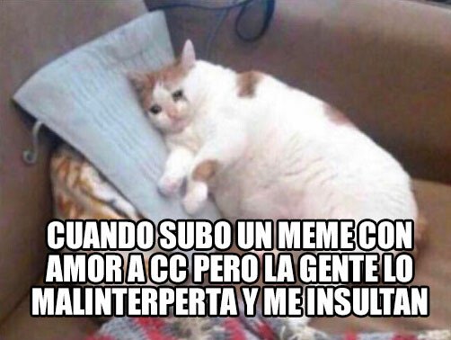 Meme_otros - Me gustaría haceros un pastel y ser felices mientras lo compartimos