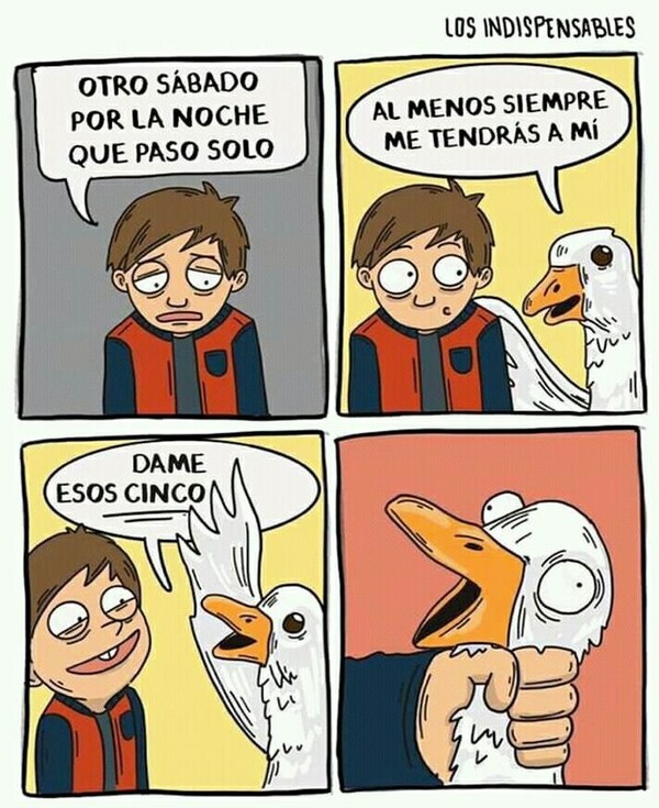 Otros - ¡Los 5 al ganso!