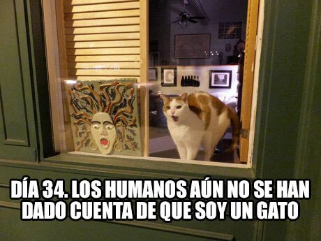 Meme_otros - La misión será un éxito