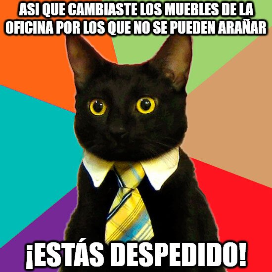 cambiar,muebles,oficina,arañar,despedido