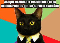 Enlace a ¡cambiaste los muebles!