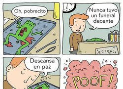 Enlace a Llegando tarde y mal