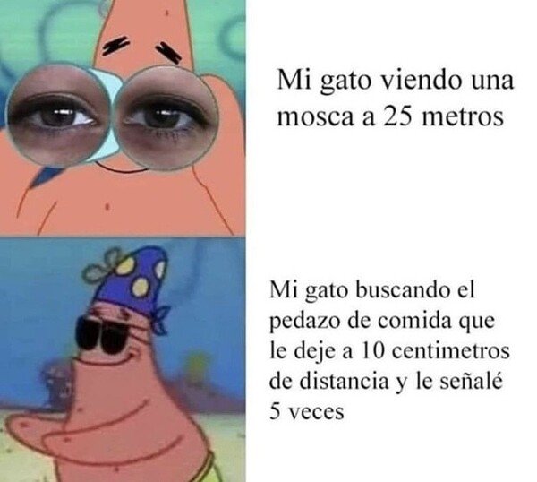 Meme_otros - Pero luego el laser bien que lo ve