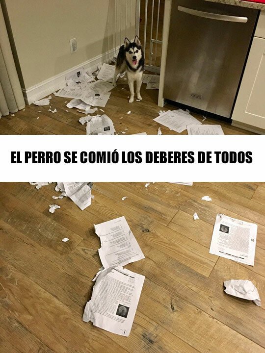 Meme_otros - No solo los mios... sino los de todos