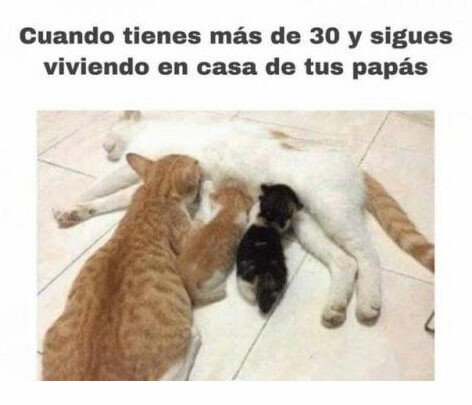 Meme_otros - Cuando la necesidad de irte aún no te ha nacido