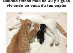 Enlace a Cuando la necesidad de irte aún no te ha nacido
