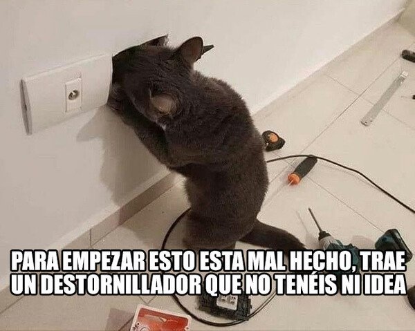 Meme_otros - Ni puta idea tenéis