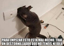 Enlace a Ni puta idea tenéis