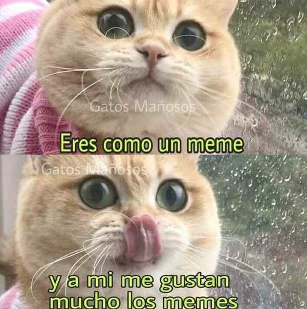 Meme_otros - Más que las anvorguesas