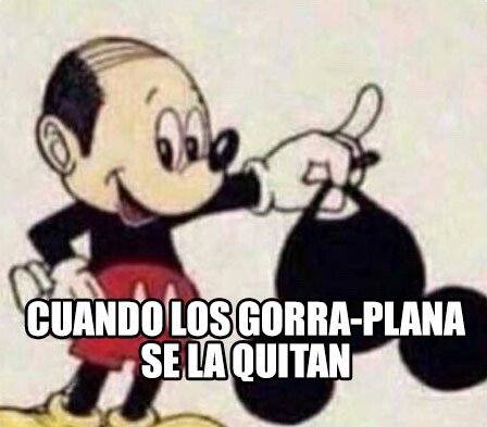 Meme_otros - Es como ver a un perro andar de pie