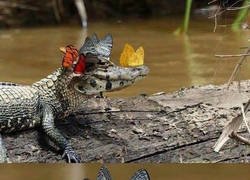 Enlace a Cuando montas drama por nada pero te dan la razón