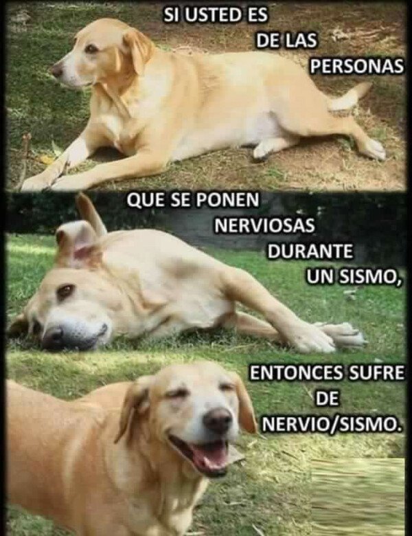 Meme_otros - La tontería del día