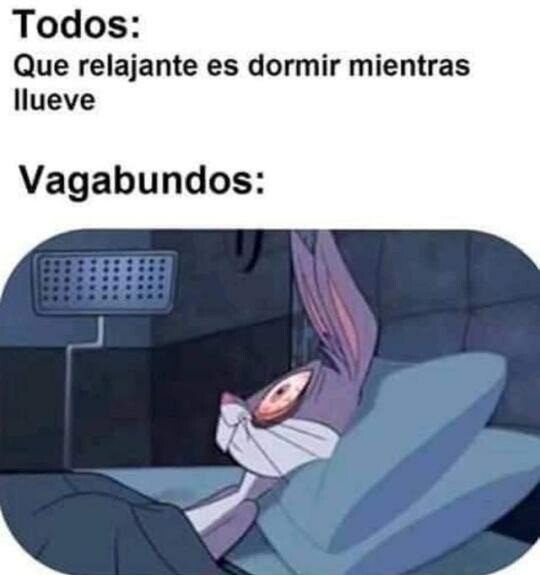 Meme_otros - La pluviofilia no es para todos