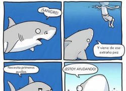 Enlace a ¡Rápido! que alguien llame a la ambulancia costera