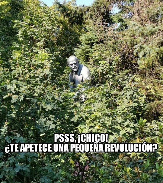 Meme_otros - Pequeñas revoluciones, pequeños placeres de la vida