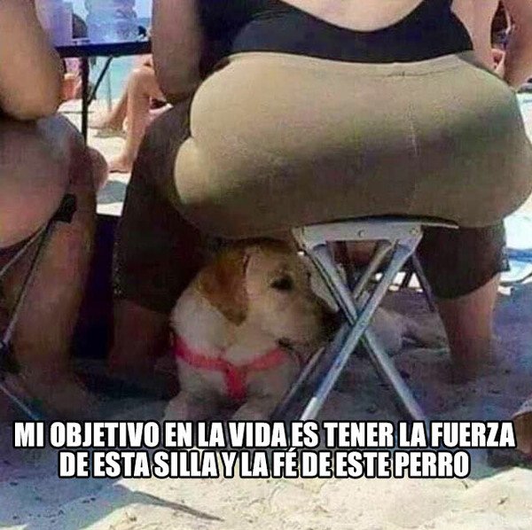 Meme_otros - Mis metas en la vida