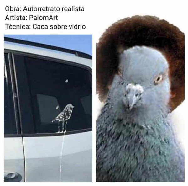 Meme_otros - Caca sobre vidrio