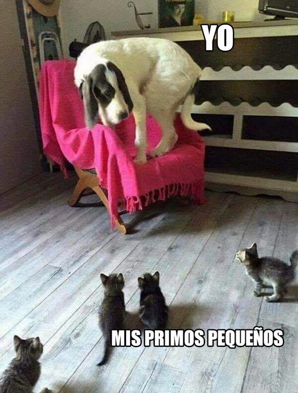 Meme_otros - ESAS reuniones familiares