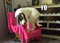 Enlace a ESAS reuniones familiares