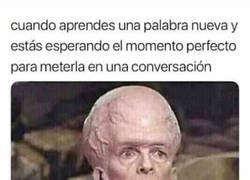 Enlace a Buscando el logro de 'intelectual'