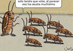 Enlace a Activar modo volador