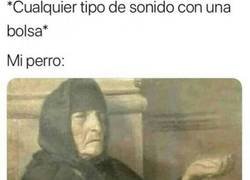 Enlace a Ni que lo matase de hambre al gulas...