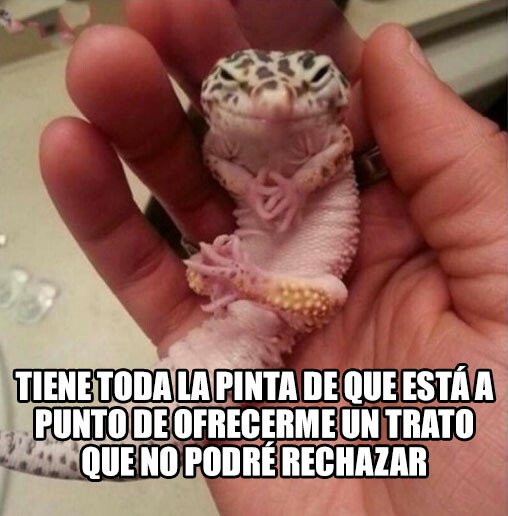 Meme_otros - ¿Cuánto es el 'loot' de la misión?