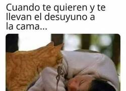 Enlace a Zarpitas, podrías ser un poco más romántico