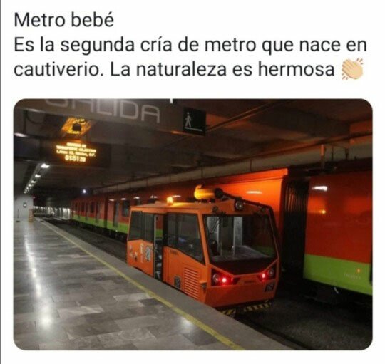 Meme_otros - La especie continua creciendo