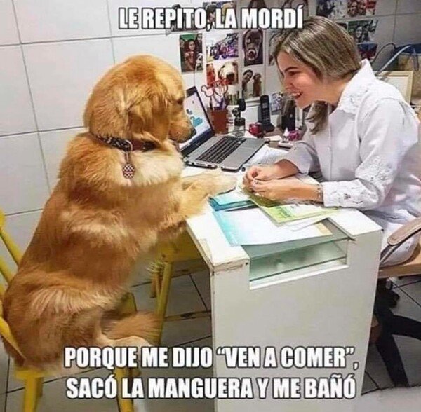 Meme_otros - ¿Qué esperabas que hiciese?