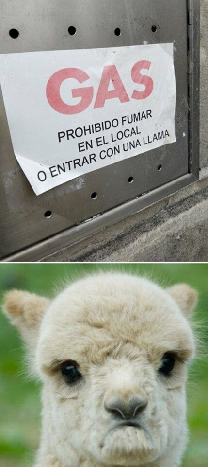 Meme_otros - ''Ereh un rasista de la' llamah''