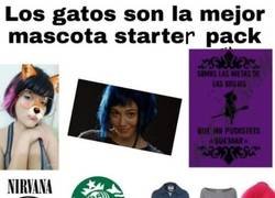 Enlace a Hoy en perfiles sociales ¡la amante de los gatos!