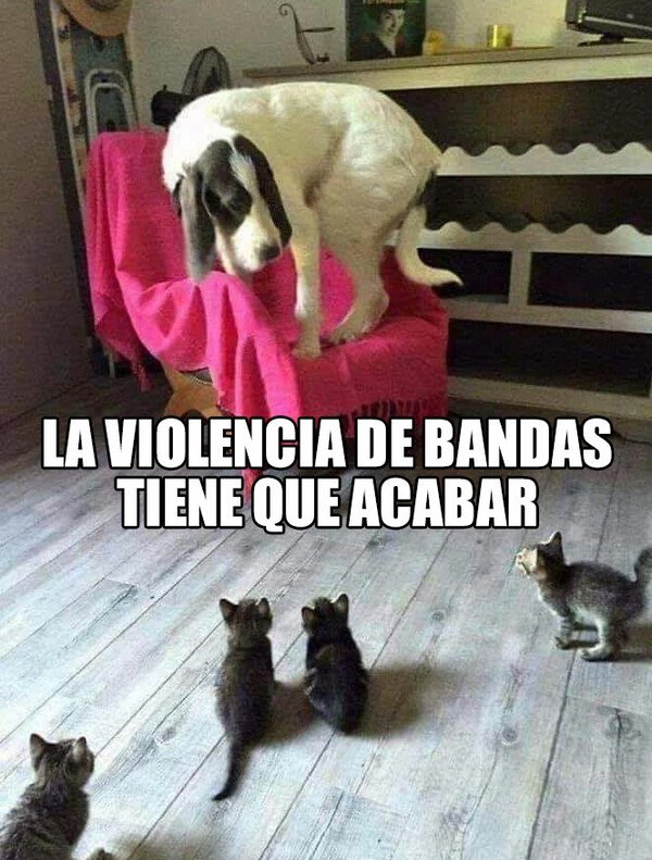 Meme_otros - El número gana al tamaño