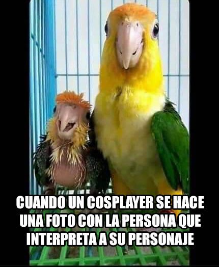 Meme_otros - Por muy buenos que sean siempre serán 'hacendado'