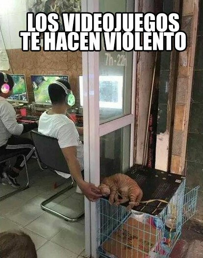 Meme_otros - Seguro que está cebando al gato ese para hacerse un guiso