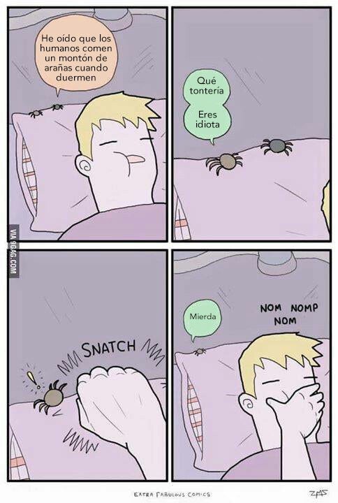 Otros - ¡Así que al final era eso!