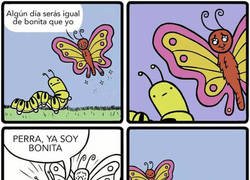 Enlace a ¿Me vas a decir a mi lo que seré o dejaré de ser?