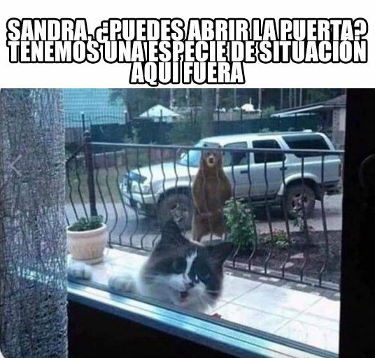 Meme_otros - Sandra, por favor te lo pido, abre la maldita puerta