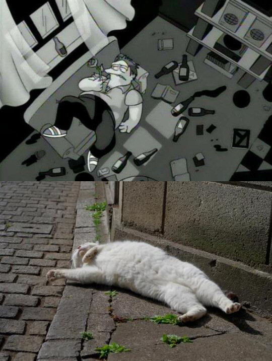 Meme_otros - No lloren por mi, ya estoy muerto