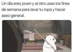 Enlace a Feliz sabado a esos intentos de ser adulto