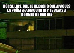 Enlace a Horse Luis está teniendo una adolescencia complicada