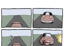 Enlace a ¡Radar! corre, activa los morritos