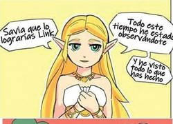Enlace a Zelda omnipresente