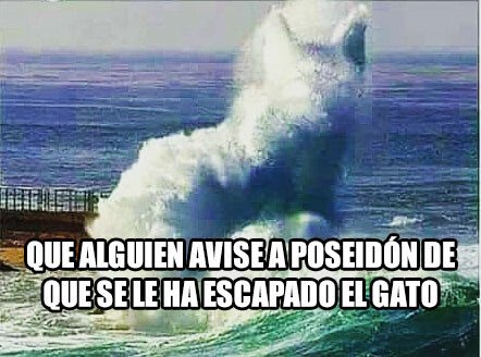 Meme_otros - Poseidón, ¡cierra el mar que se escapa el gato!