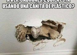 Enlace a A ver si voy a tener que llamar a mis primos 