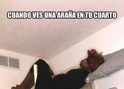 Enlace a Y si vuela le prendes fuego a la casa
