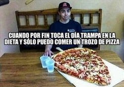 Enlace a Los vacíos legales de las dietas