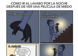 Enlace a Primera lección: No vayas nunca solo a los sitios, ni al baño