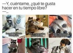 Enlace a Pero sobre todo apapachar gatetes y perretes